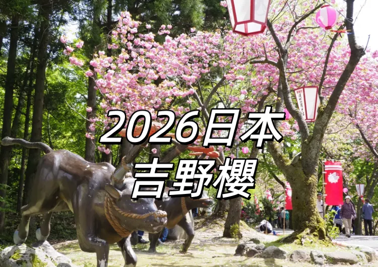 【2026日本賞櫻】染井吉野櫻花期/勝地/攝影攻略一網打盡，市區8大賞櫻秘境深度遊