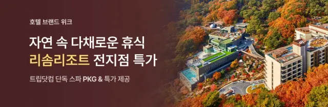 리솜리조트 전지점 특가