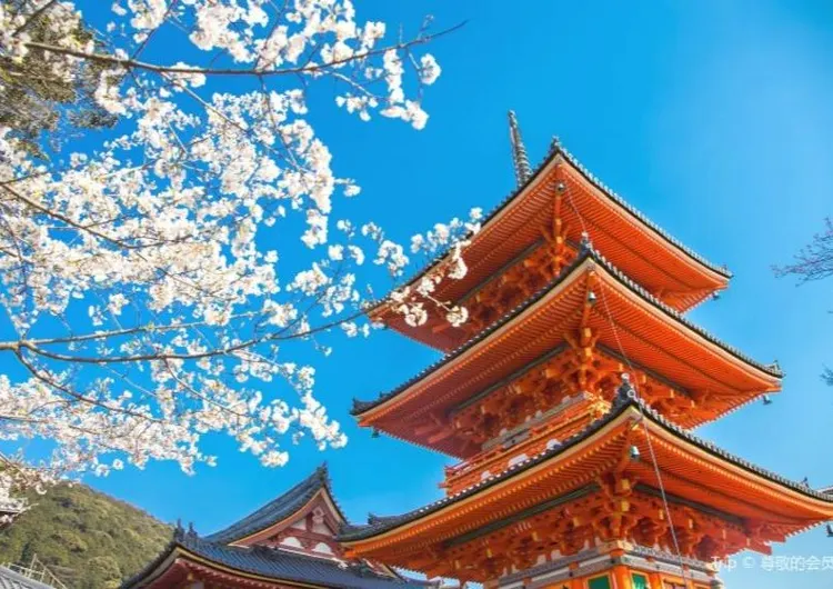 Отдых в Японии 2026: как добраться, виза, погода, что посмотреть, кухня