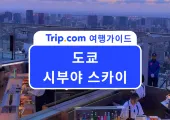  2026 도쿄 여행 필수 코스! 시부야 스카이 후기 | 예약, 운영시간