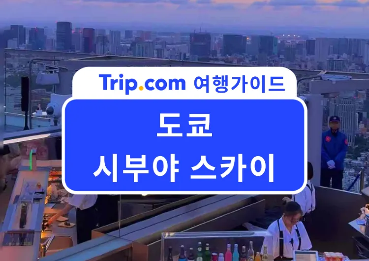 🇯🇵 2026 도쿄 여행 필수 코스! 시부야 스카이 완벽 가이드 🌇