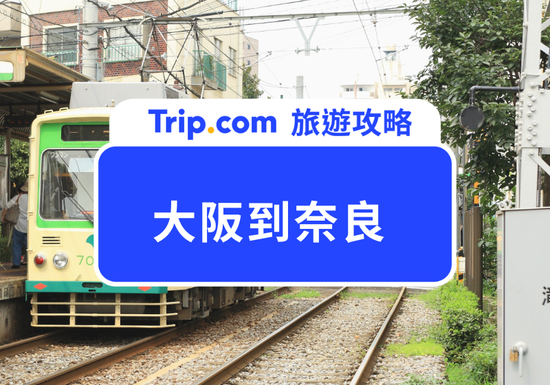 大阪到奈良 2026交通路線攻略懶人包｜周遊券、JR、近鐵電車都輕鬆搞定！