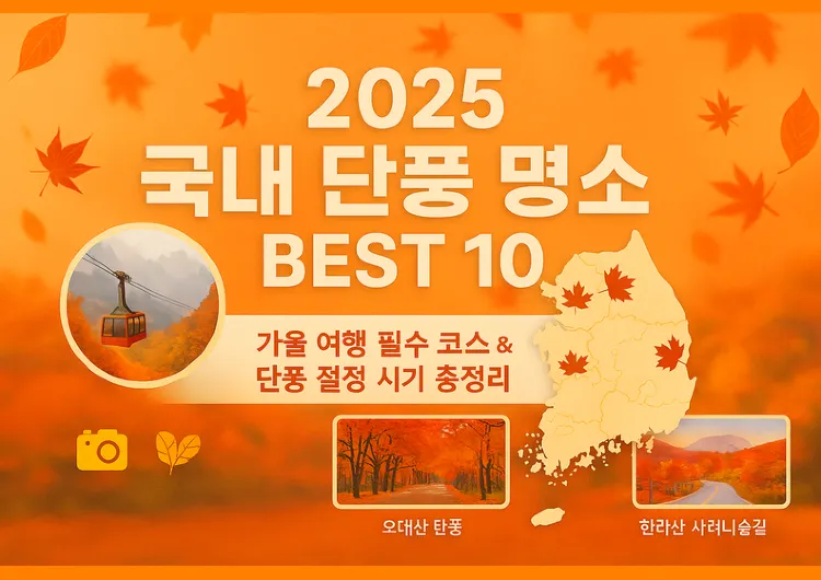 🍁2025 국내 단풍 명소 BEST 10 |가을 여행 필수 코스 & 절정 시기 총정리