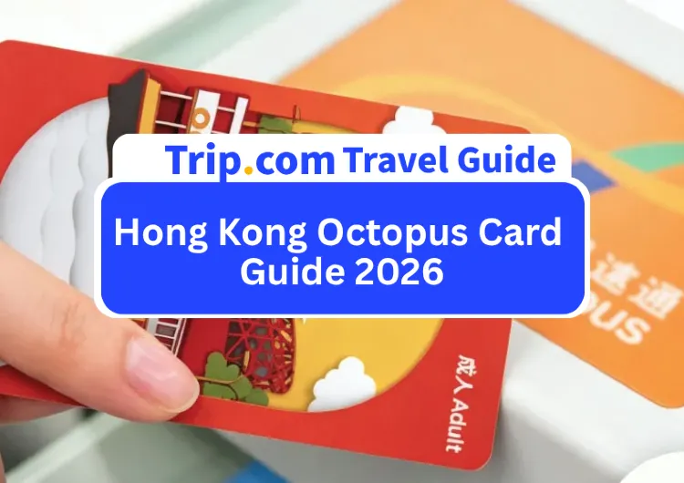 Hong Kong Travel Transport & Dining Guide | One Octopus Card Covers MTR, Buses, Convenience Stores & Restaurants (2026 Latest Edition)