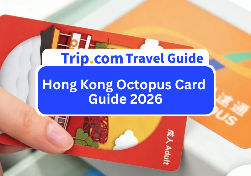 Hong Kong Travel Transport & Dining Guide | One Octopus Card Covers MTR, Buses, Convenience Stores & Restaurants (2026 Latest Edition)