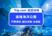 2025遠雄海洋公園遊玩攻略|萬聖節門票、交通路線、美食街與必玩4大園區設施統統有