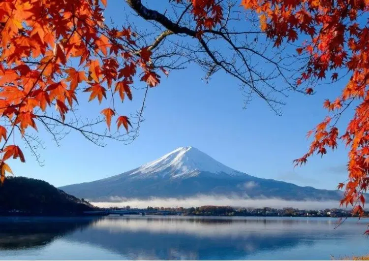 【2026日本楓葉】日本賞楓時間預測 | 京都/北海道/九州等地賞楓景點/時間/交通攻略