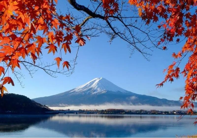 【2026日本楓葉】日本賞楓時間預測 | 京都/北海道/九州等地賞楓景點/時間/交通攻略