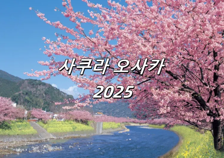 【일본 벚꽃】2015년 일본 벚꽃놀이는 오사카에 꼭 가자!