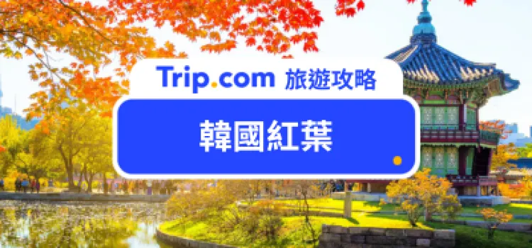 【2026 韓國紅葉】15+ 首爾釜山紅葉景點攻略 韓國賞楓看這篇
