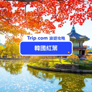 【2026 韓國紅葉】15+ 首爾釜山紅葉景點攻略 韓國賞楓看這篇