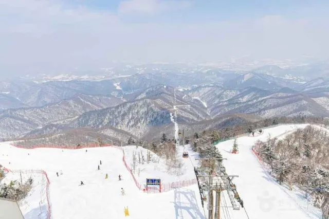 모나 용평 스키장