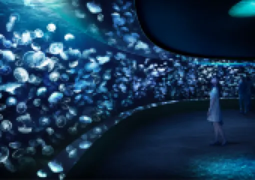 도쿄 여행 | 도쿄 새로운 신상 핫플레이스 BEST 18곳 모음집!