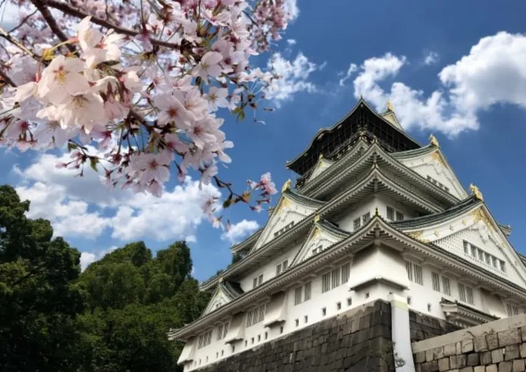 【日本の桜 2026】見逃せない大阪の美しい桜スポット7選＆おすすめのホテル５選をご紹介！