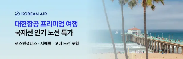 대한항공 국제선 특가