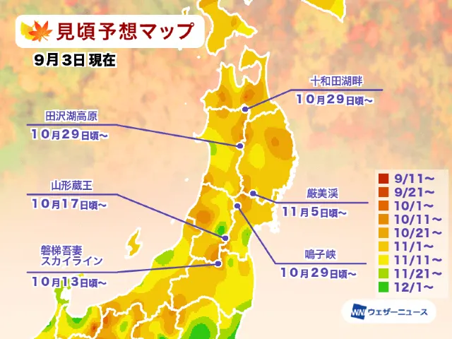 東北楓葉季時間