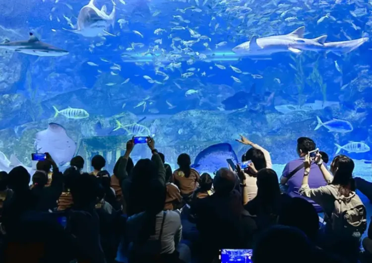 2026 서울 실내 가볼만한 곳 TOP10 | 비 오는 날, 눈 오는 날 아이와 함께 가볼만한 실내 놀거리 추천