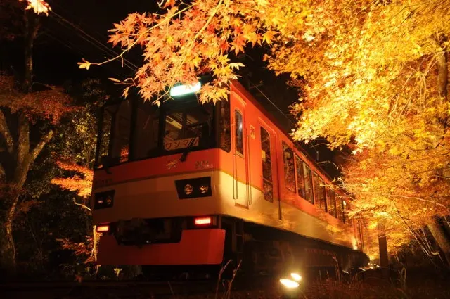 1mj0n824x9an5fvue2991.webp