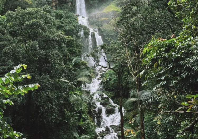 น้ำตกห้วยน้ำเย็น ที่เที่ยวเชียงใหม่ น้ำตกอันซีนแห่งใหม่ของประเทศไทย