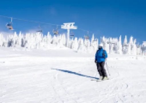 2026 국내 스키장 리조트 추천 BEST 7 ❄️ 서울 근교 당일치기 가능한 강원도 스키장, 운영시간, 준비물까지 한번에!