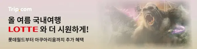 국내 여행 특가