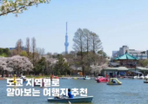 도쿄 지역별로 알아보는 여행지 추천