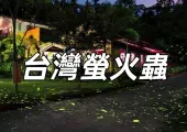 【螢火蟲季節】全台賞螢時間介紹/螢火蟲季節景點推薦，助你進行一次賞螢之旅！