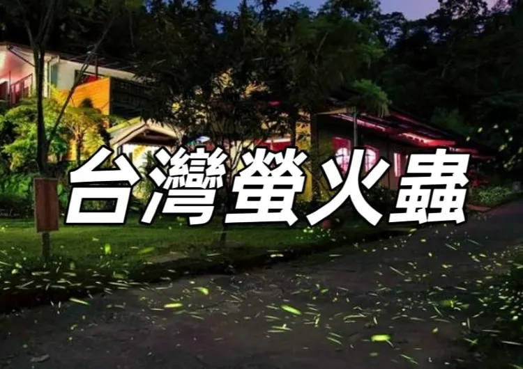【螢火蟲季節】全台賞螢時間介紹/螢火蟲季節景點推薦，助你進行一次賞螢之旅！
