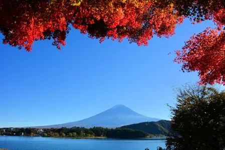 シルバーウィーク 紅葉