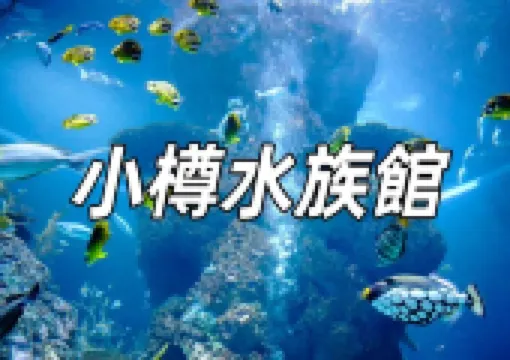 【小樽水族館 小樽市2026】來小樽水族館,近距離觀看小企鵝雪中散步!