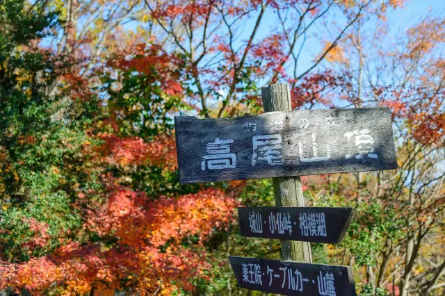 高尾山