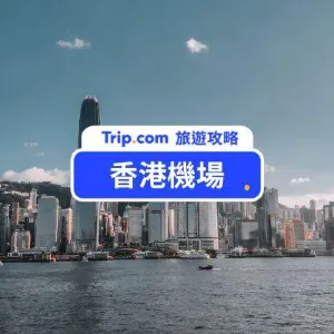 2026 香港機場到市區交通方式:機場快線、巴士、包車接送一次看!
