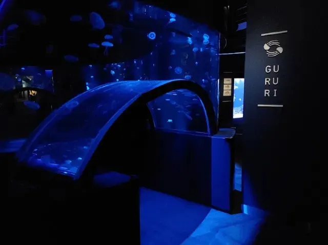 京都水族館夜の水族館見どころ