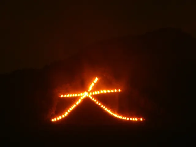 京都・五山送り火の「大文字」。