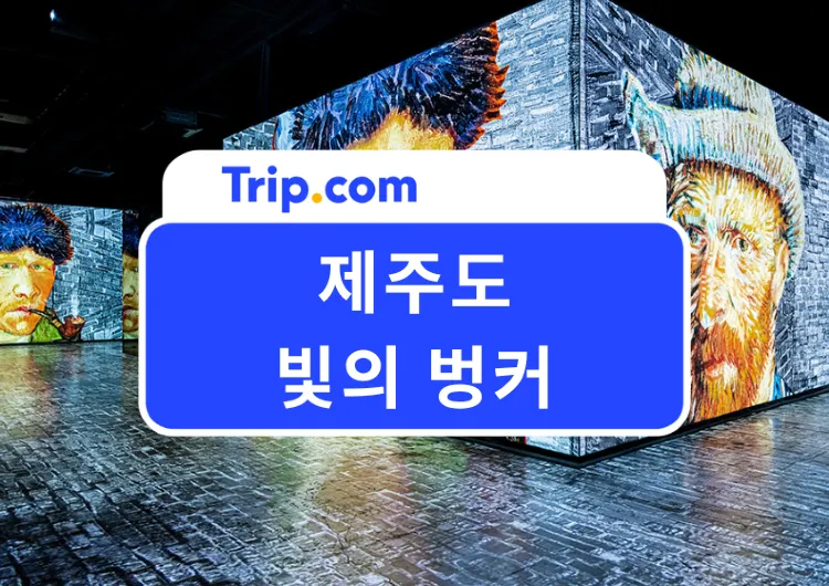 제주도 실내 여행지 빛의 벙커 여행 가이드 2026 | 입장료, 할인, 소요시간