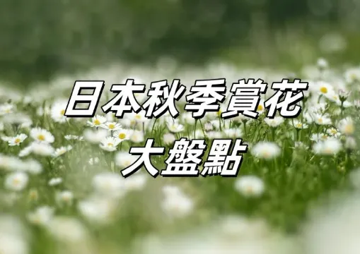 【日本秋季賞花】2026日本秋季賞花日曆和賞花人氣景點大盤點！
