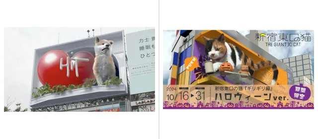 渋谷3D秋田犬＆新宿東口の猫