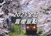 【台灣櫻花季2025】全台賞櫻,陽明山、九族、武陵農場櫻花攻略,粉紅風暴來襲!