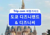 2026도쿄 디즈니랜드 vs 디즈니씨 완벽 공략 꿀팁 총정리 | 교통·티켓·익스프레스·맛집 공략
