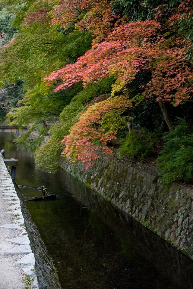 写真:哲学の道|Wikimedia Commons(KimonBerlin/CC BY-SA 2.0)