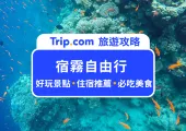 【2026 宿霧自由行】5 天 4 夜行程推薦/美食景點/交通花費懶人包