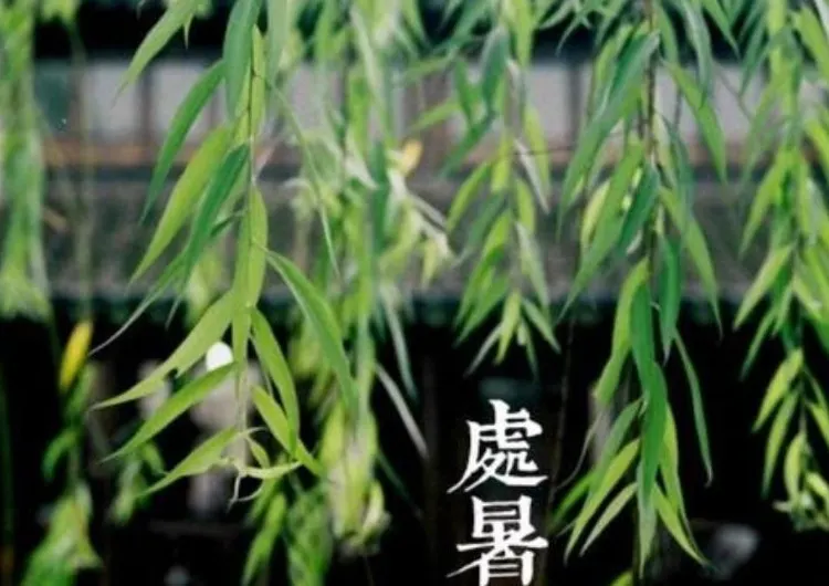 【處暑2026】鬼門開禁忌、轉運招財方法、處暑節氣禁忌、習俗、處暑湯水、處暑飲食進補全攻略