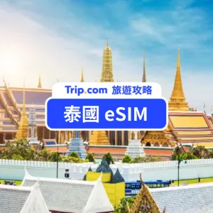 【泰國 eSIM 推薦】泰國 5/7/30 天無限網路優惠比較