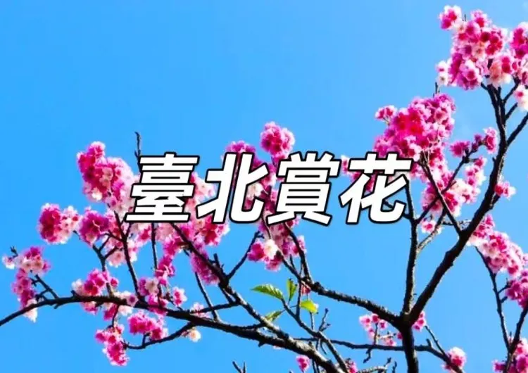 【臺北賞花2025】十大臺北賞花景點推薦！臺北花季、交通、特色懶人包