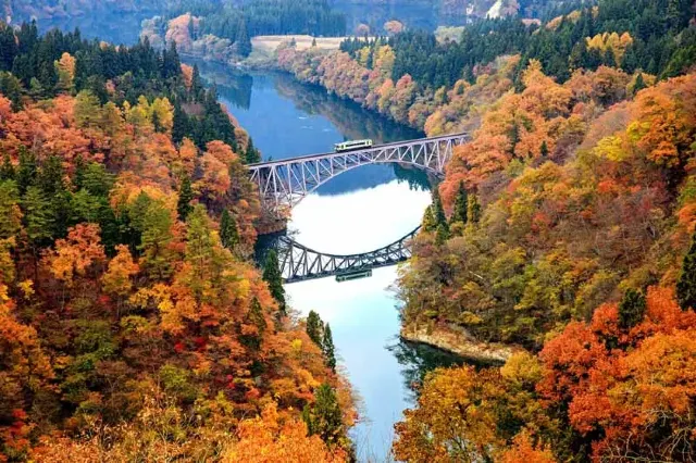 東北楓葉