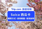 2025 日本交通卡 Suica 西瓜卡》購買方式/使用範圍/線上加值懶人包