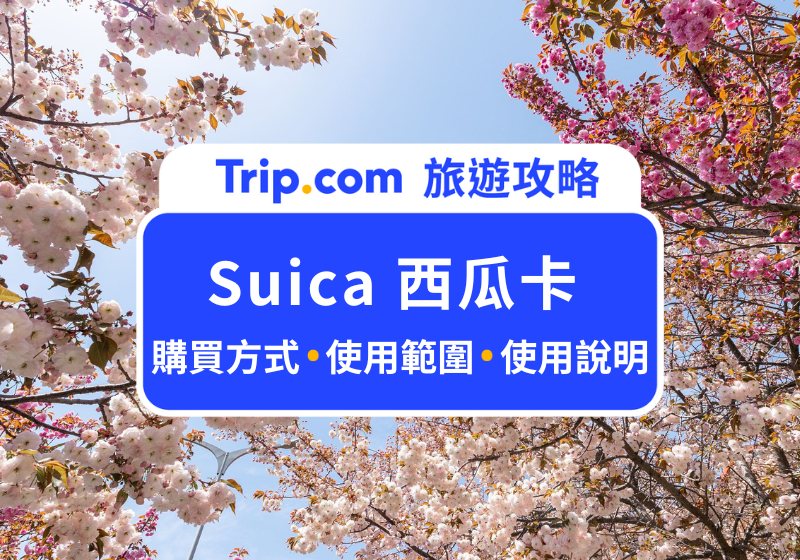 2026 日本交通卡 Suica 西瓜卡》購買方式、使用範圍、線上加值一次看