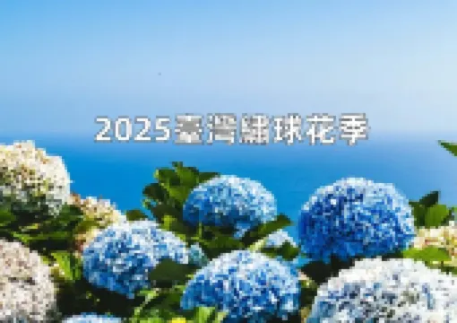【2025臺灣繡球花季】2025繡球花賞花景點Top10大盤點,花期直击&攝影寶典全攻略!