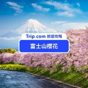 2026 富士山櫻花 10 大必看景點!富士芝櫻祭+櫻花季預測
