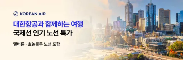 대한항공 국제선 특가